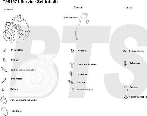 BTS Turbo T981571 - Turbocompressore, Sovralimentazione autozon.pro