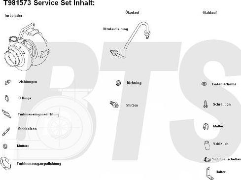 BTS Turbo T981573 - Turbocompressore, Sovralimentazione autozon.pro