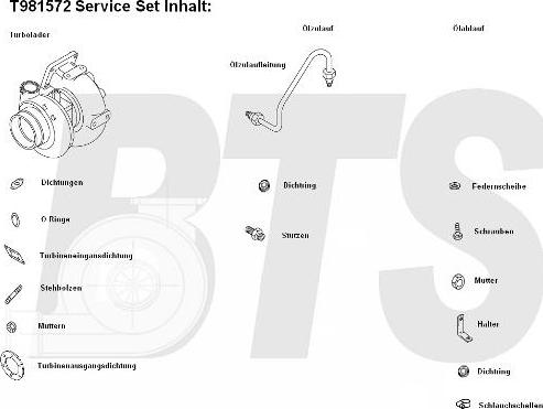 BTS Turbo T981572 - Turbocompressore, Sovralimentazione autozon.pro