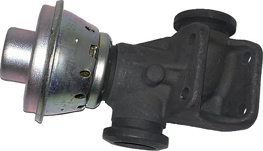 Bugiad BGR13079 - Valvola ricircolo gas scarico-EGR autozon.pro