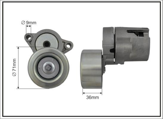 Caffaro 142800SP - Tendicinghia, Cinghia Poly-V autozon.pro