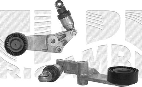 Caliber 66069 - Tendicinghia, Cinghia Poly-V autozon.pro