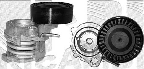 Caliber 10067 - Tendicinghia, Cinghia Poly-V autozon.pro