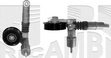 Caliber 17460 - Tendicinghia, Cinghia Poly-V autozon.pro