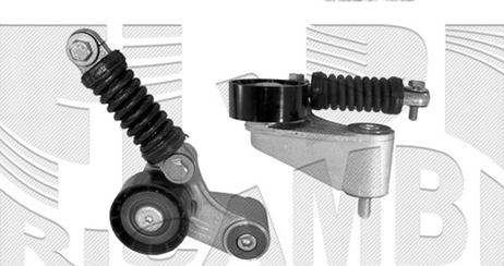 Caliber 17169 - Tendicinghia, Cinghia Poly-V autozon.pro