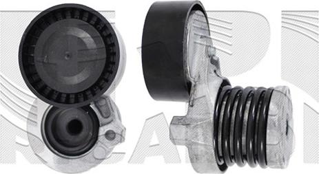 Caliber 89118 - Tendicinghia, Cinghia Poly-V autozon.pro