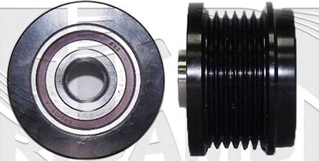 Caliber 88572 - Puleggia cinghia, Alternatore autozon.pro