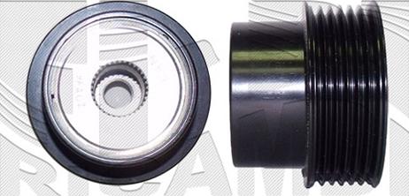 Caliber 88054 - Puleggia cinghia, Alternatore autozon.pro