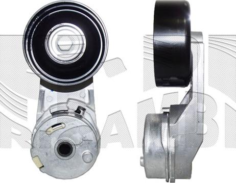 Caliber 88794 - Tendicinghia, Cinghia Poly-V autozon.pro