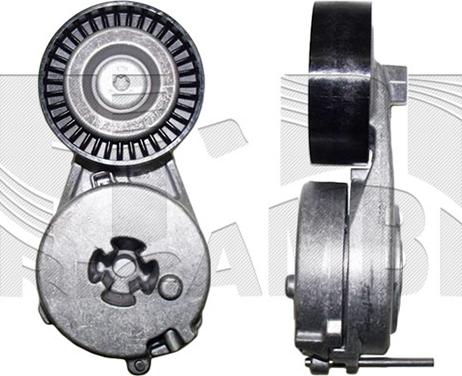 Caliber 88770 - Tendicinghia, Cinghia Poly-V autozon.pro