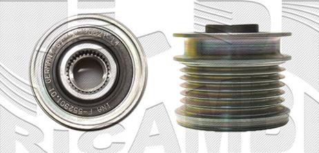 Caliber 87926 - Puleggia cinghia, Alternatore autozon.pro