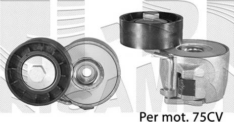 Caliber 77168 - Tendicinghia, Cinghia Poly-V autozon.pro