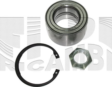 Caliber RC9096 - Kit cuscinetto ruota autozon.pro