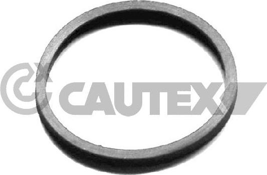 Cautex 954208 - Guarnizione, Termostato autozon.pro