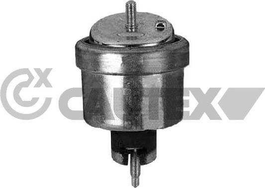 Cautex 480493 - Sospensione, Motore autozon.pro