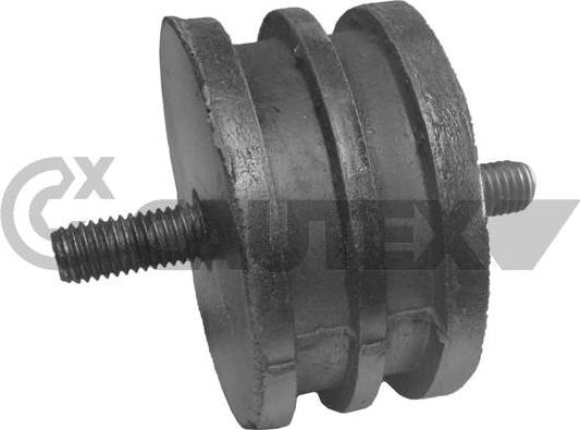 Cautex 160098 - Sospensione, Motore autozon.pro