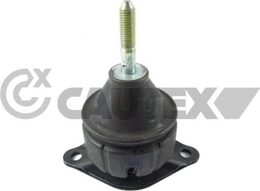 Cautex 759798 - Sospensione, Motore autozon.pro