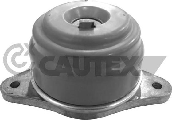 Cautex 755980 - Sospensione, Motore autozon.pro