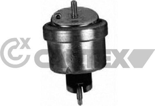 Cautex 756435 - Sospensione, Motore autozon.pro