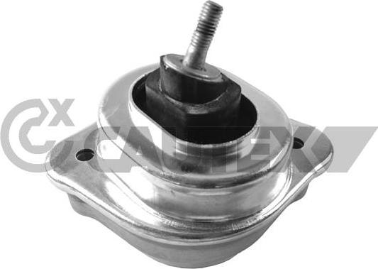 Cautex 756163 - Sospensione, Motore autozon.pro