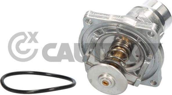 Cautex 750818 - Termostato, Refrigerante autozon.pro