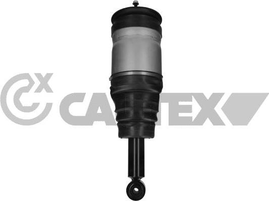 Cautex 751950 - Gamba elastica con ammortiz. pneumatico autozon.pro