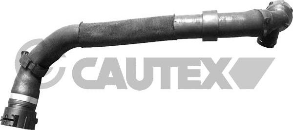 Cautex 765607 - Flessibile radiatore autozon.pro