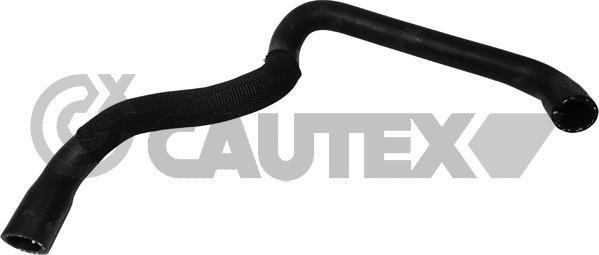 Cautex 765149 - Flessibile radiatore autozon.pro