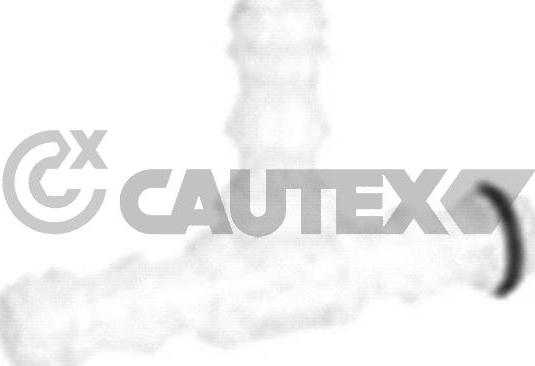 Cautex 767161 - Adattatore, Pompa acqua lavafari autozon.pro