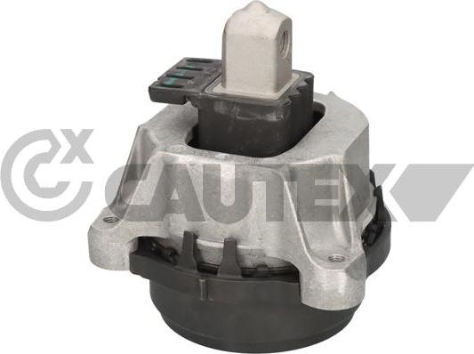 Cautex 776583 - Sospensione, Motore autozon.pro