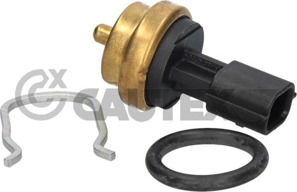 Cautex 770258 - Sensore, Temperatura refrigerante autozon.pro