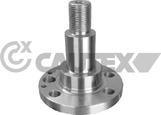 Cautex 771754 - Fuso a snodo, Sospensione ruota autozon.pro