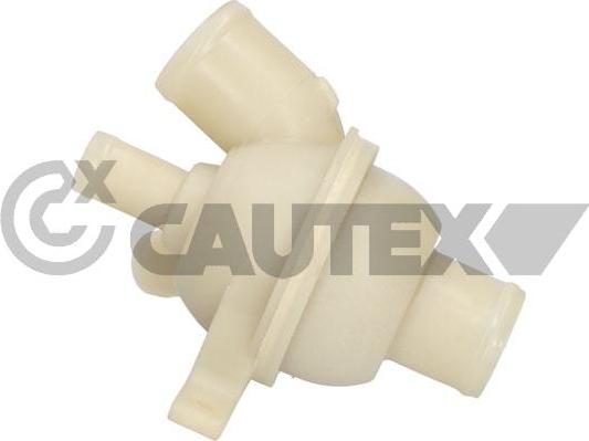 Cautex 772160 - Termostato, Refrigerante autozon.pro