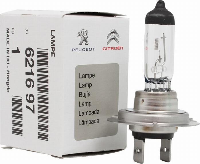 CITROËN 6216.97 - Lampadina, Faro di svolta autozon.pro