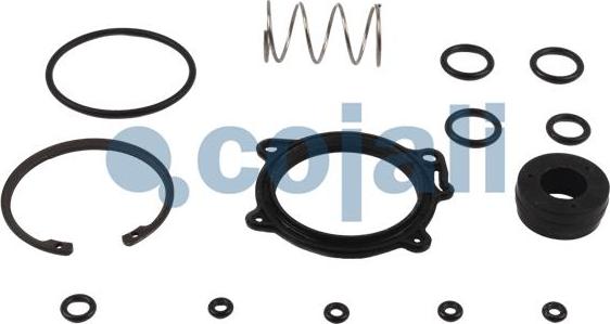 Cojali 6014048 - Kit riparazione autozon.pro