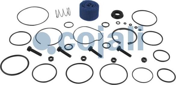 Cojali 6014056 - Kit riparazione autozon.pro