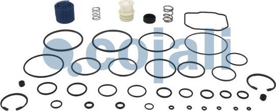 Cojali 6014066 - Kit riparazione autozon.pro