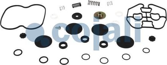 Cojali 6014114 - Kit riparazione autozon.pro