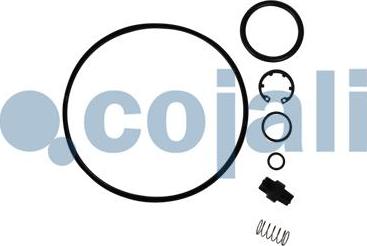 Cojali 6014267 - Kit riparazione, Essiccatore aria autozon.pro