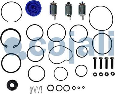 Cojali 6014275 - Kit riparazione autozon.pro