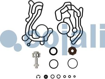 Cojali 6014270 - Kit riparazione, Essiccatore aria autozon.pro