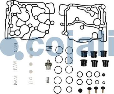 Cojali 6014271 - Kit riparazione, Essiccatore aria autozon.pro