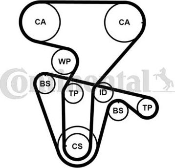 Contitech CT877K5PRO - Kit cinghie dentate autozon.pro