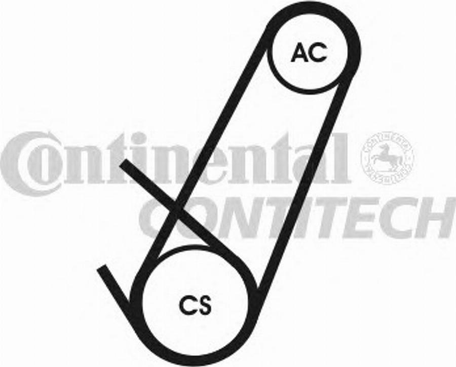 Contitech 4PK924 ELAST T1 - Cinghia Poly-V autozon.pro