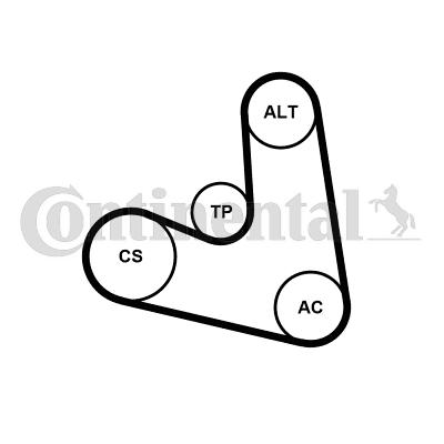 Continental 4PK654K1 - Kit Cinghie Poly-V autozon.pro