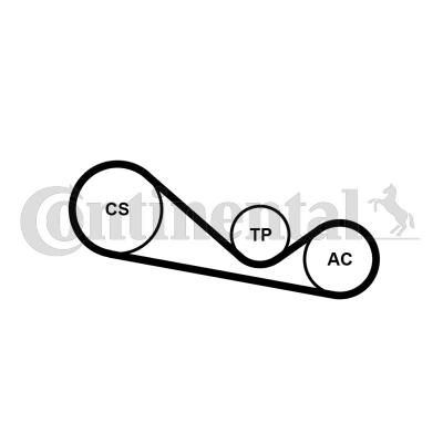 Continental 4PK1237K1 - Kit Cinghie Poly-V autozon.pro