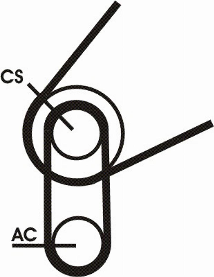 Contitech 5PK694 ELAST T1 - Cinghia Poly-V autozon.pro