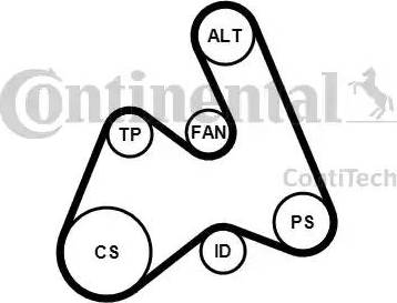 Continental 5PK1592K1 - Kit Cinghie Poly-V autozon.pro