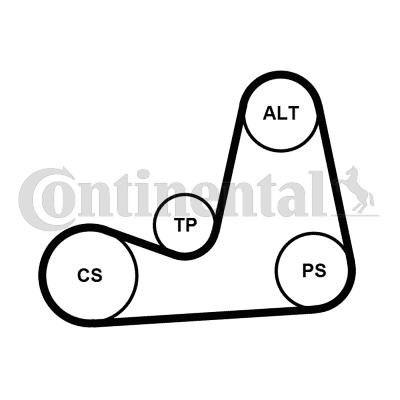 Continental 5PK1110K2 - Kit Cinghie Poly-V autozon.pro