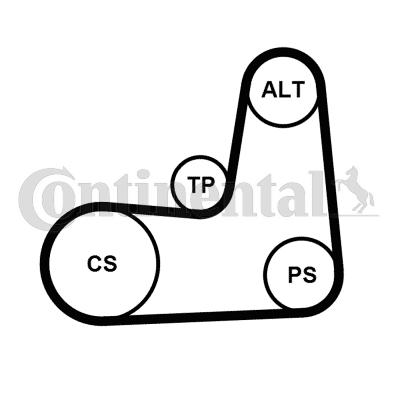 Continental 5PK1135K2 - Kit Cinghie Poly-V autozon.pro